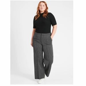 NWT Banana Republic Relaxed Wide-Leg Fit Sz 14